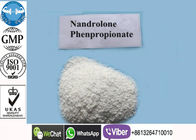 CAS 7207-92-3 Deca Anabolic Steroids การเพิ่มขึ้นของกล้ามเนื้อตามกฎหมาย Nandrolone Propionate