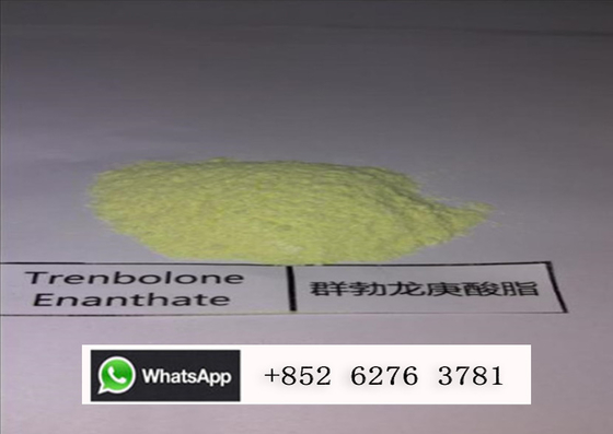 การเจริญเติบโตของมนุษย์ Trenbolone Enanthate Powder, ความบริสุทธิ์ 99.68% Steroid Anabolic ที่มีประสิทธิภาพมากที่สุด
