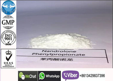 100mg / ml ของเหลว NPP Deca steroids anabolic Nandrolone Phenylpropionate