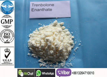 กล้ามเนื้อมนุษย์อาคาร Tren เตียรอยด์ Anabolic Tren E / Trenbolone Enanthate Powder