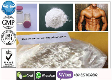 CAS 106505-90-2 Boldenone Cypionate, อาหารเสริมกล้ามเนื้อฉีดเสริมเตียรอยด์